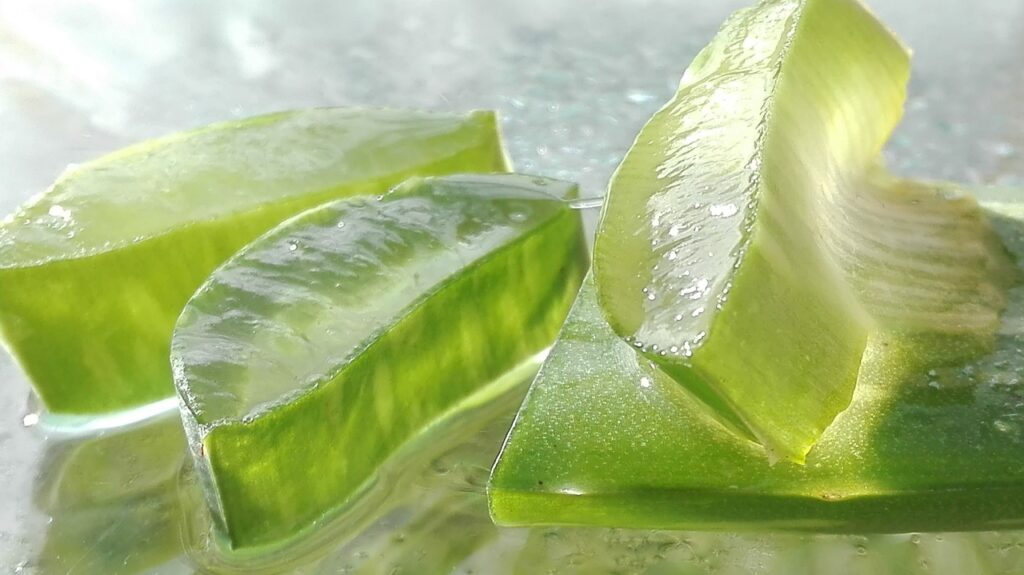 Guida Completa Al Gel Puro Di Aloe Vera E Ai Suoi Usi