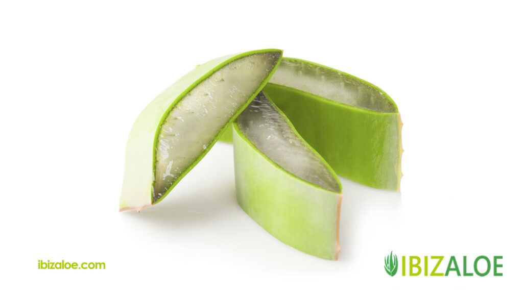Es verdad que el aloe vera sirve para adelgazar