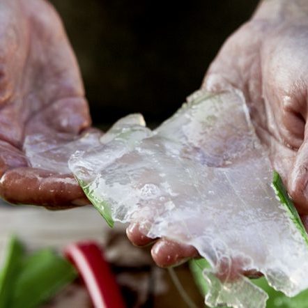 aloe_vera_gel-600x442 aloe_vera_gel-600x442