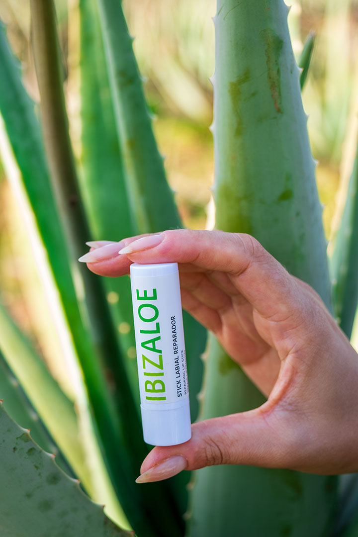 STICK LABIAL REPARADOR ALOE VERA - Imagen 5