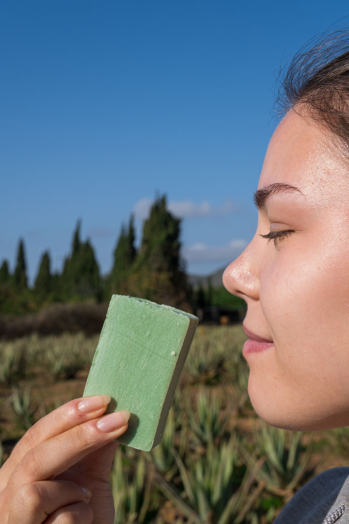 JABÓN BIO ALOE VERA + ROMERO - Imagen 2