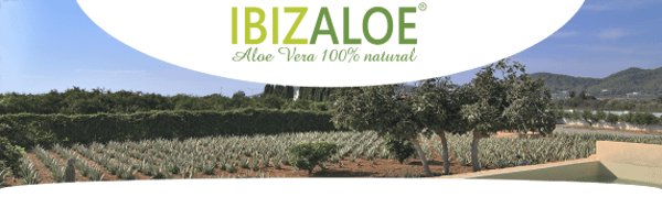 Bienvenidos al mundo de Ibizaloe