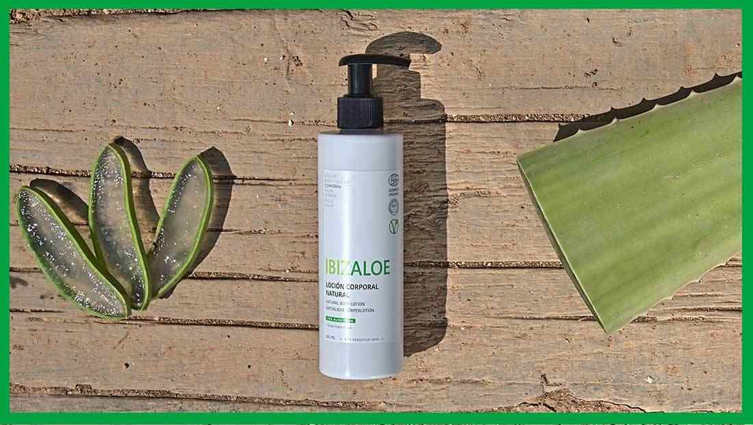 especificar ornamento invernadero Es eficaz el Aloe vera para heridas?【Descúbrelo】| Ibizaloe
