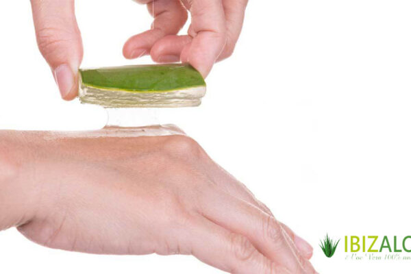 ¿Para qué sirve el aloe vera? 5 usos habituales para-que-sirve-el-aloe-vera