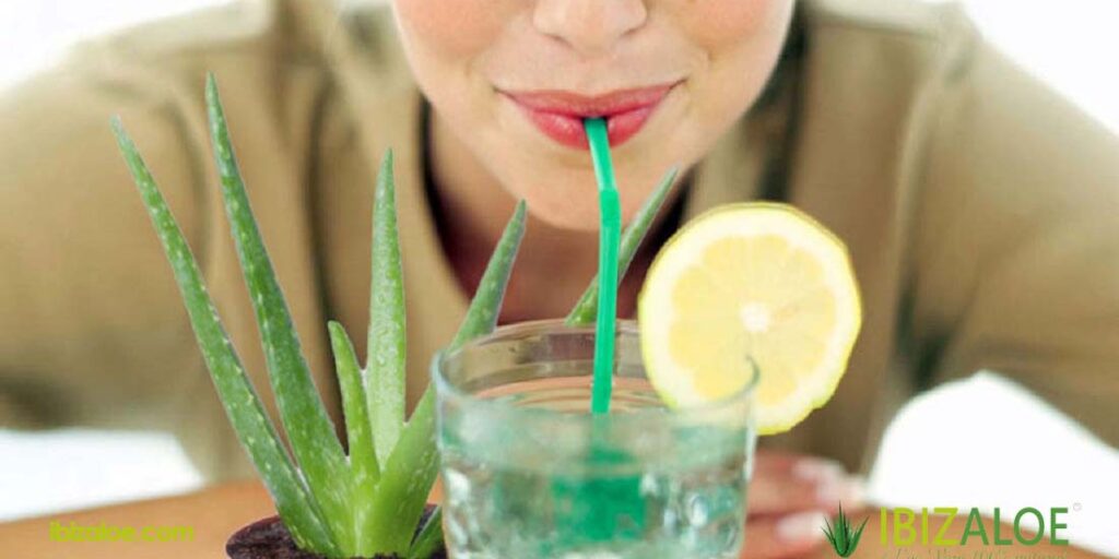 beneficios de tomar aloe vera en ayunas aloe-vera-en-ayunas