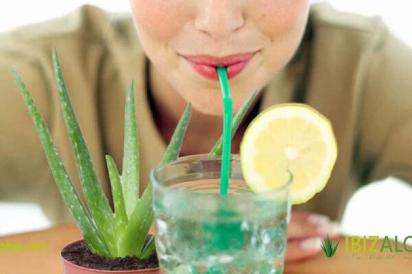 beneficios de tomar aloe vera en ayunas aloe-vera-en-ayunas