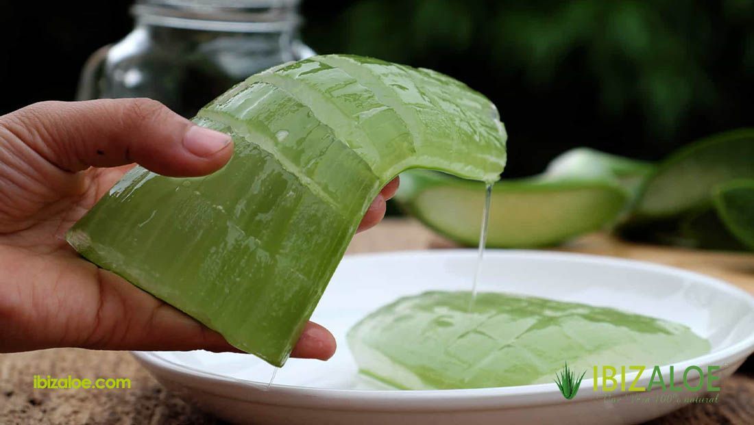 Alimentos con Aloe Vera