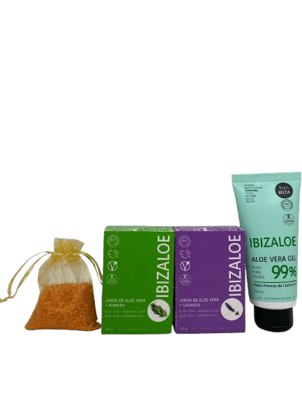Cesta Regalo Productos de Aloe Vera Imprescindibles