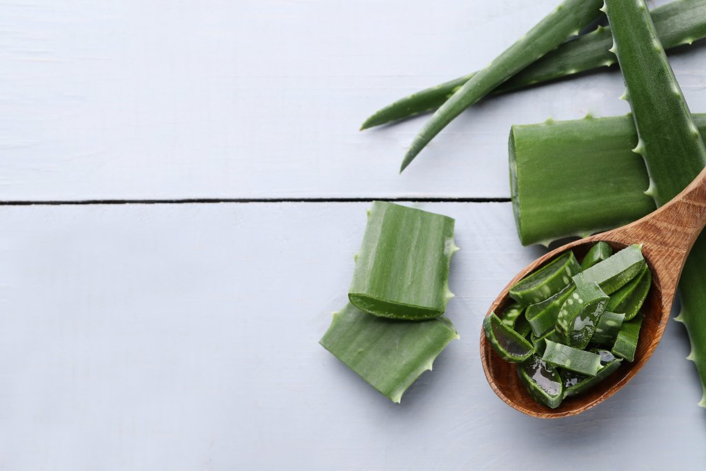 Aloe vera sarna