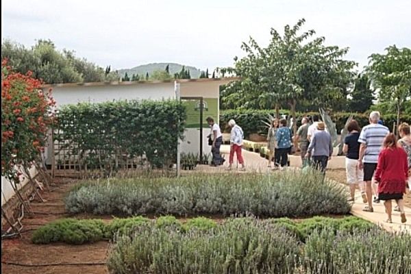 Besuchen Sie das Aloe Vera Museum Ibiza