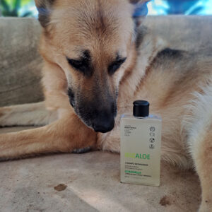Gel baño aloe vera y champú reparador Ibizaloe - rutina natural diaria