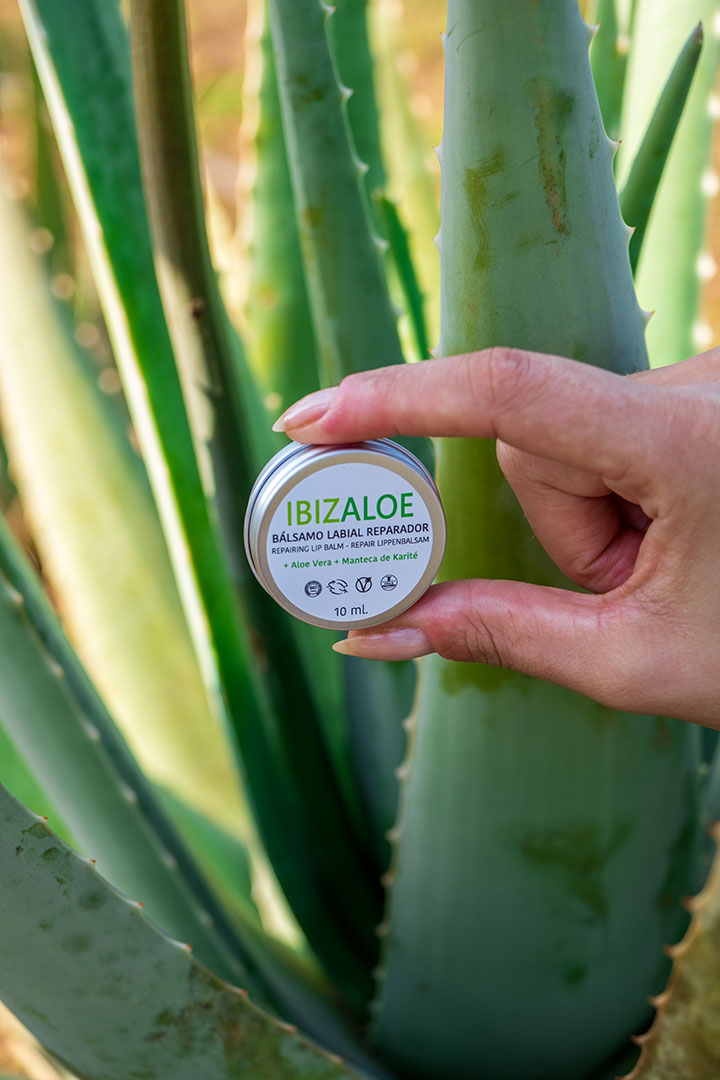 BÁLSAMO LABIAL REPARADOR ALOE VERA - Imagen 3