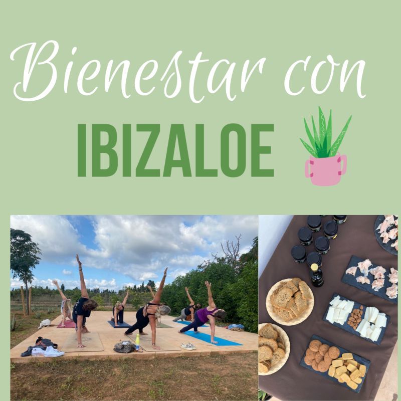 Wellness -Ibizaloe