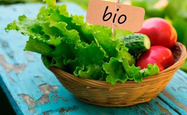 Alimentos Bio | ¿Qué son?