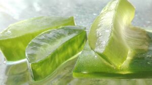 Guía Completa del Gel Puro de Aloe Vera y Sus Usos