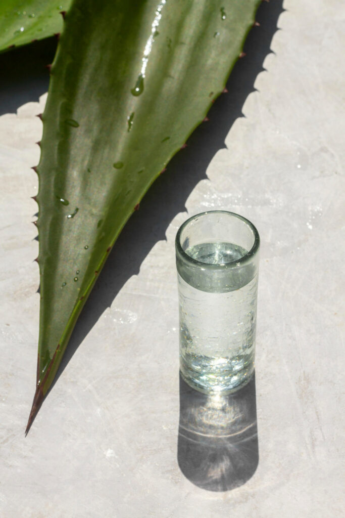 Jugo de Aloe Vera y sistema inmunológico
