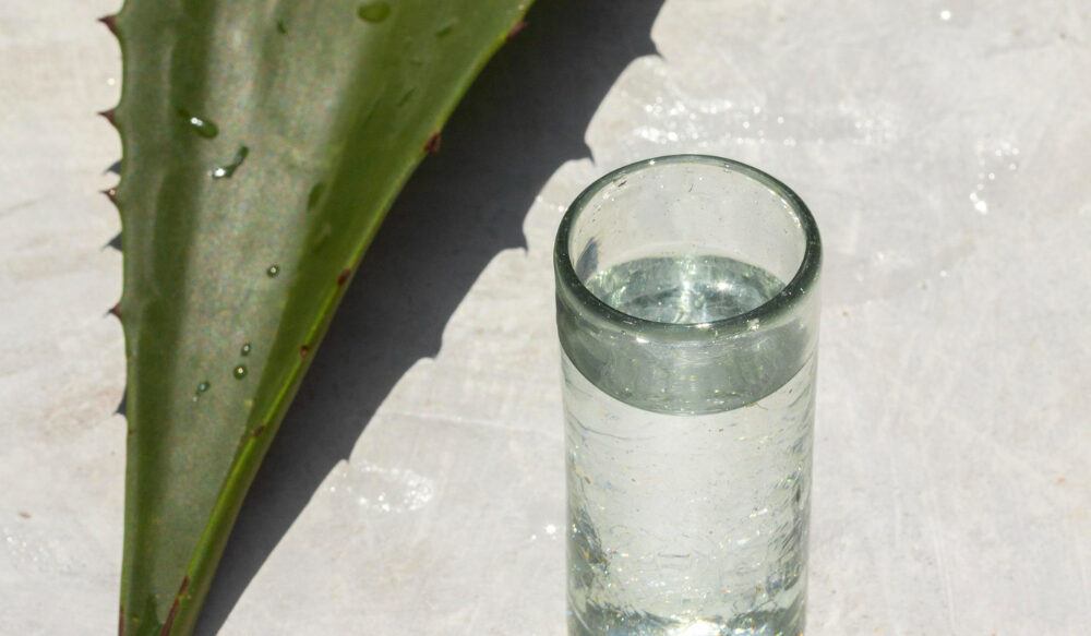 Jugo de Aloe Vera y sistema inmunológico
