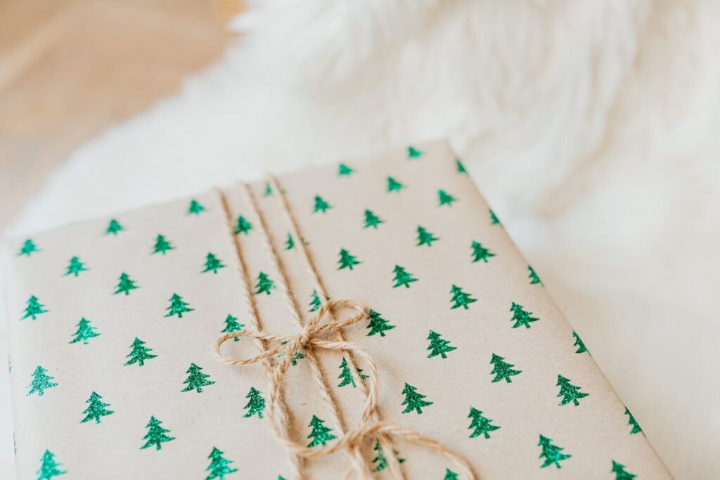 Regala bienestar natural esta Navidad ideas de regalos Aloe Vera