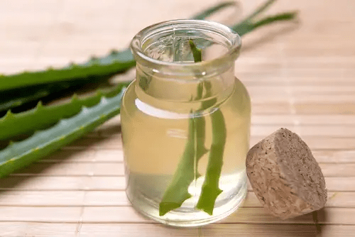 mermelada de aloe vera