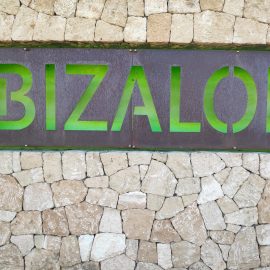 Ibizaloe