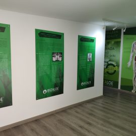 Ibizaloe 10 Usos y propiedades