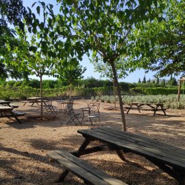 Ibizaloe Picnic
