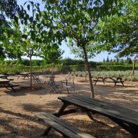 12 - Picnic y zona de descanso