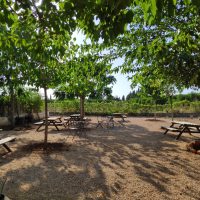 12 - Picnic y zona de descanso.