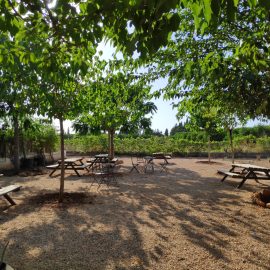 Ibizaloe Picnic