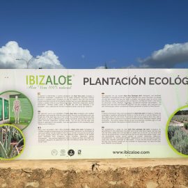 Bienvenido Ibizaloe