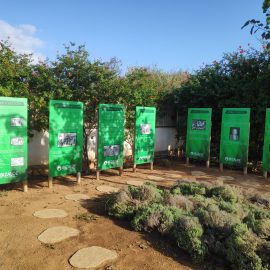 Ibizaloe Historia